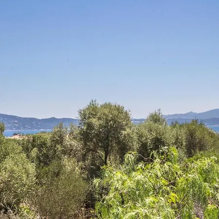 Mariposa Olbia